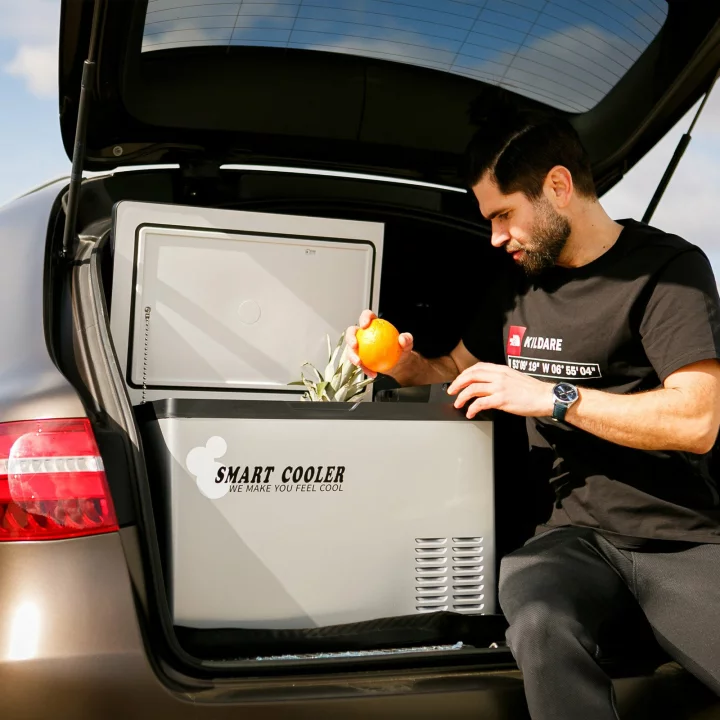 Frigidere auto Smart Cooler