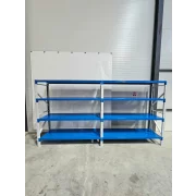 Raft profesional de depozitare L3900xl600xH2000, 1600 kg