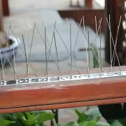 Banda antipasari cu suport din inox,  100 cm , 72 țepi