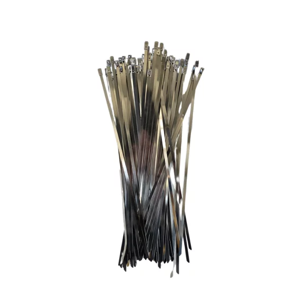 Skobi ot neriezhdaema stomana 4,6 kh 300 mm