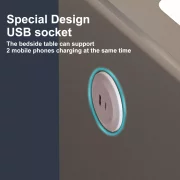 Umno noshchno shkafche s bezzhichno zarezhdane, LED osvetlenie, Bluetooth visokogovoritel, USB i Type-C port - tsviat antratsitno siv, 2 chekmedzheta, moderen dizain ot stieklo i diervo