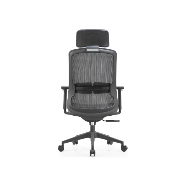 Ergonomichen stol s lumbalna opora i reguliruema oblegalka za glava