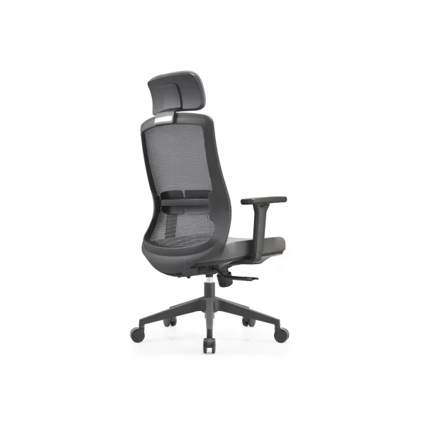 Ergonomichen stol s lumbalna opora i reguliruema oblegalka za glava