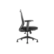 Profesionalen ergonomichen stol 188B