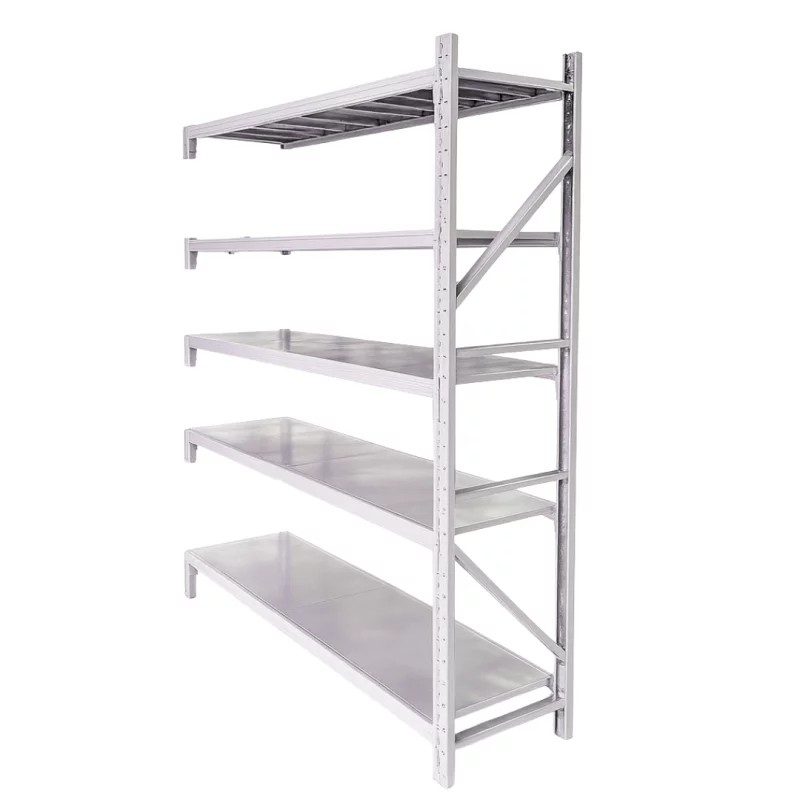 Extensie-Raft profesional pentru depozitare H2500xl600xL2000,1000 kg-WHITE