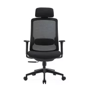 Ергономичен офис стол с регулируема поддръжка - W720D635H1180-1290 мм