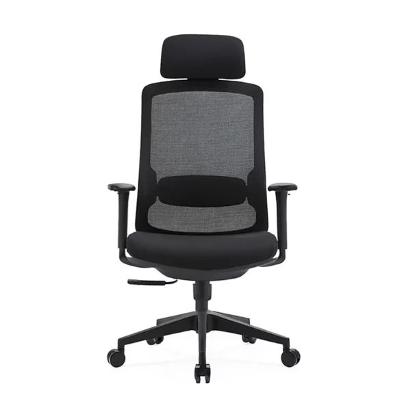 Ергономичен офис стол с регулируема поддръжка - W720D635H1180-1290 мм