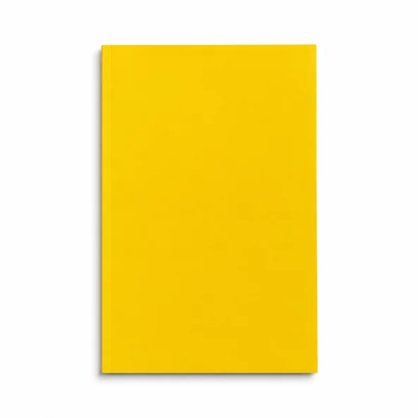 Estante metálico amarillo para estantería profesional 200 KG